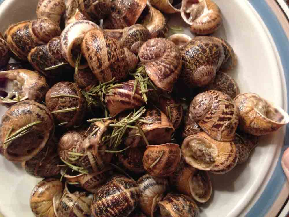crete snail feast 03