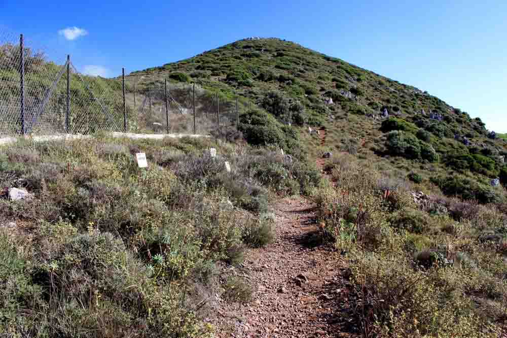 mount juktas c07