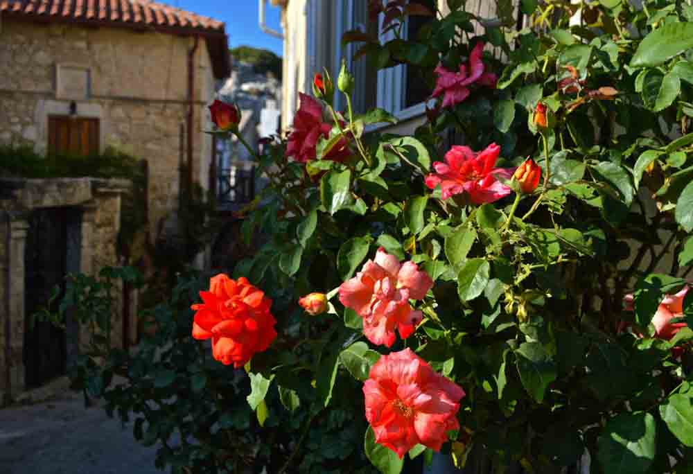 tour rustic & mystic crete and wine 09