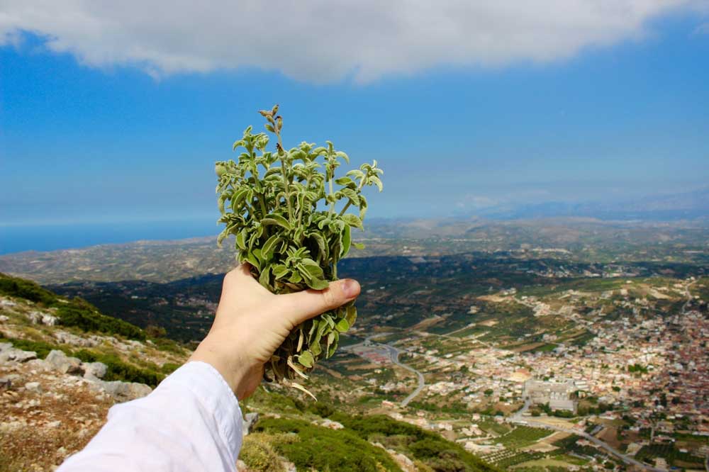 tour rustic & mystic crete and wine 12